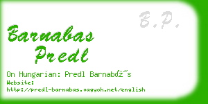 barnabas predl business card